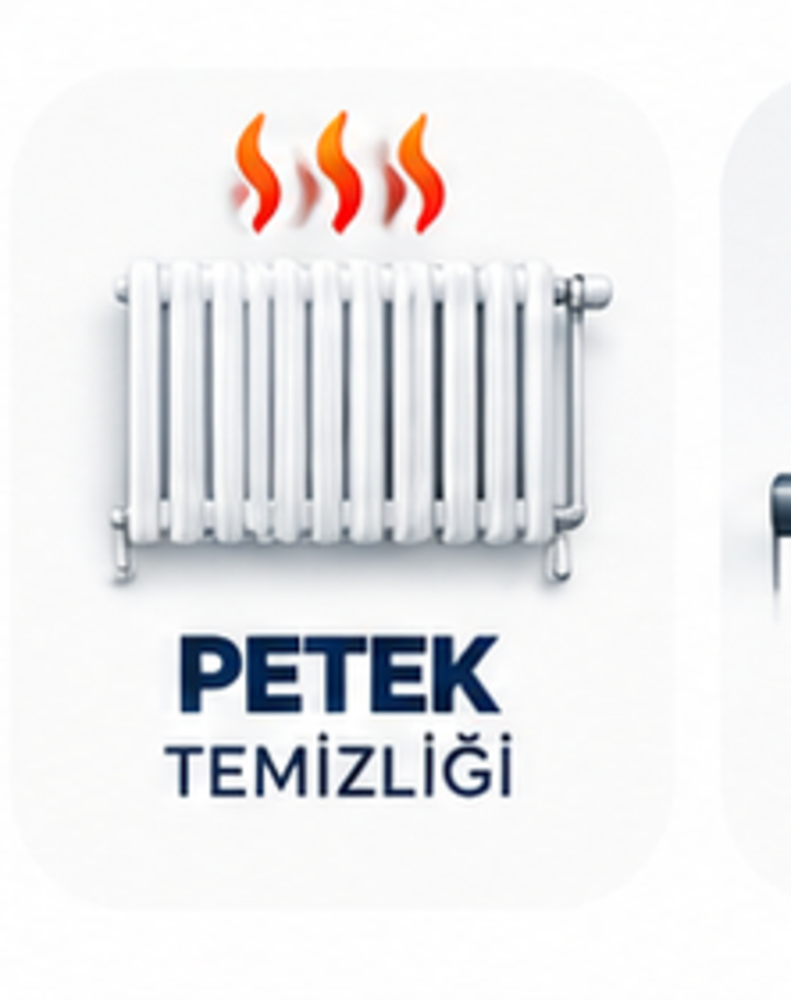 Petek Temizliği görseli